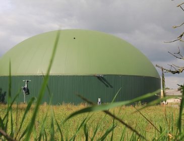 Финские инвесторы предлагают построить в Украине биогазовый завод на траве и соломе