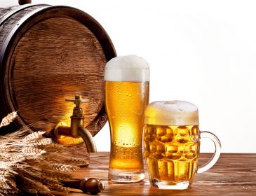 Самое дешевое пиво в мире продают в Братиславе и Киеве