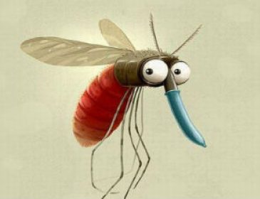 Кого из людей комары «любят» больше: ученые
