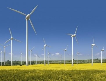 На Львовщине открыли крупнейшую ветроэлектростанцию (видео)