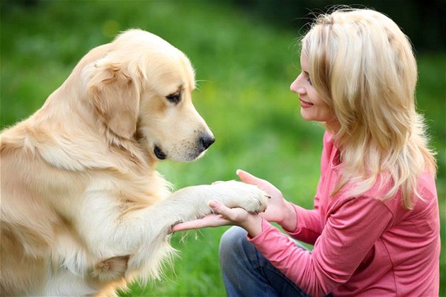 Ученые выяснили, почему собака – лучший друг человека