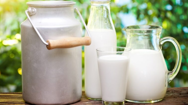Где в Украине самое дорогое молоко