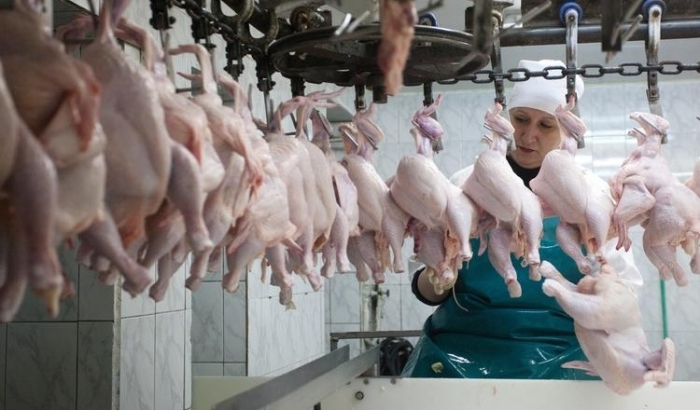 Эксперты оценили убытки от бойкота украинской курятины