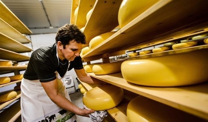 Украинский сыр станет дороже импортного