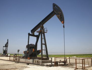 ОПЕК назвала страну-лидера по снижению добычи нефти