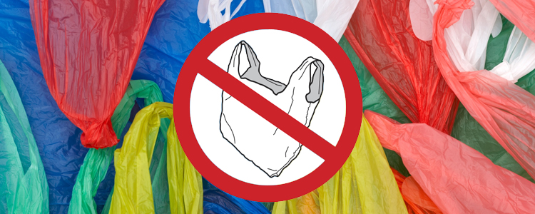 Берем курс на чистоту: запретят ли в Украине полиэтиленовые пакеты?
