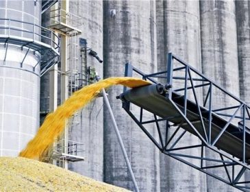«Невидимое» зерно за 300 млн: чиновников из ГПЗКУ подозревают в крупной афере