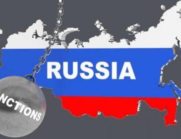 Санкции работают: в России начали официально продавать собачатину