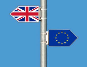 Британия может получить «свободную торговлю» с ЕС после Brexit