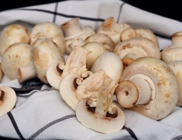 В Украине стремительно растут цены на грибы