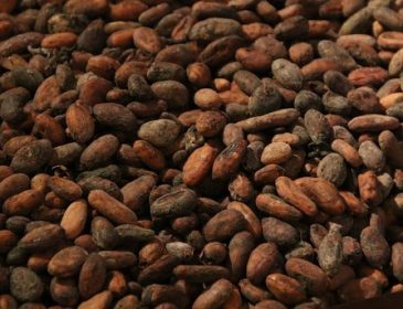В мире резко обвалились цены на какао