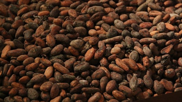 В мире резко обвалились цены на какао