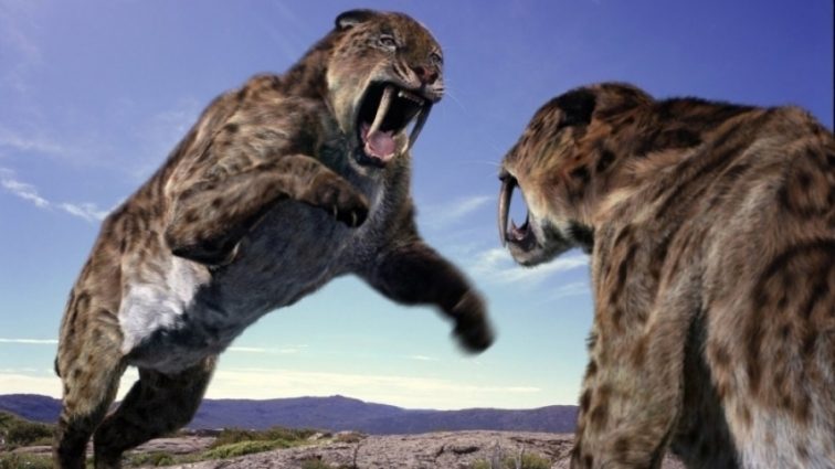 Ученые нашли отличия тактики охоты доисторических хищников