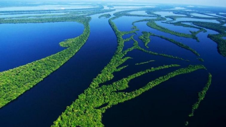 Уникальной природе Амазонки предсказывают страшный конец