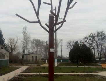 Заботясь об окружающей среде: в Черкасской области установили «солнечное» дерево