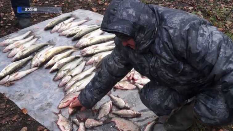 «184 тонны незаконной рыбы…» — В Украине участятся проверки рыбаков. Уже работает 21 патруль