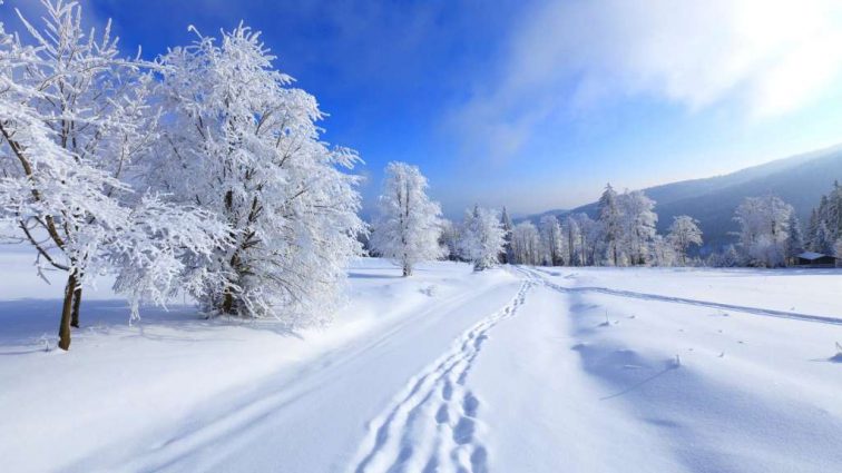 Холодная погода- это не повод сидеть дома!: узнайте лучшие места в Украине для отдыха зимой