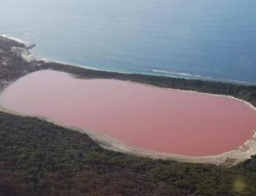 «Не надо ехать в Израиль»: уникальное розовое озеро в Херсонской области, не имеющее аналогов в мире