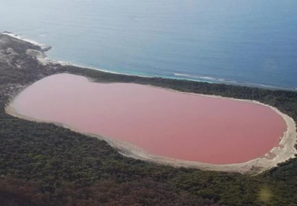 «Не надо ехать в Израиль»: уникальное розовое озеро в Херсонской области, не имеющее аналогов в мире