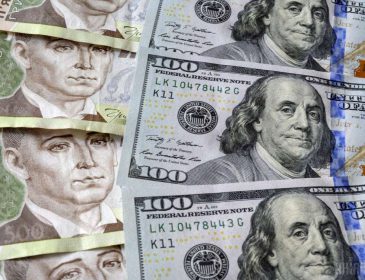 Доллар набирает обороты: НБУ опубликовали новый курс